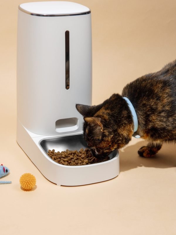 alimentateur-intelligent-pour-animaux-de-compagnie